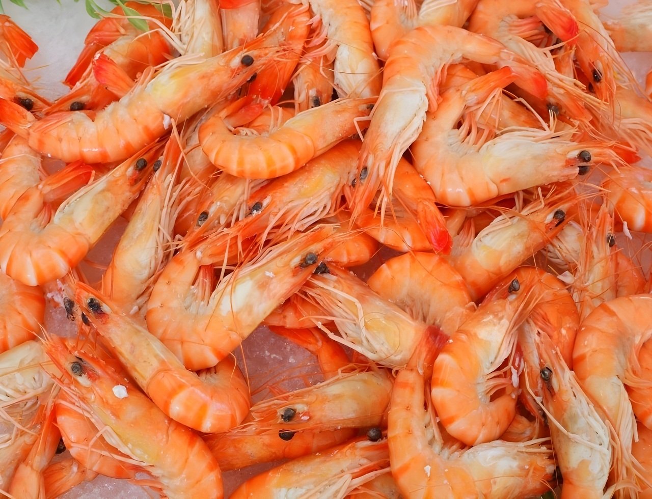 DeWatermark.ai_1762368975098