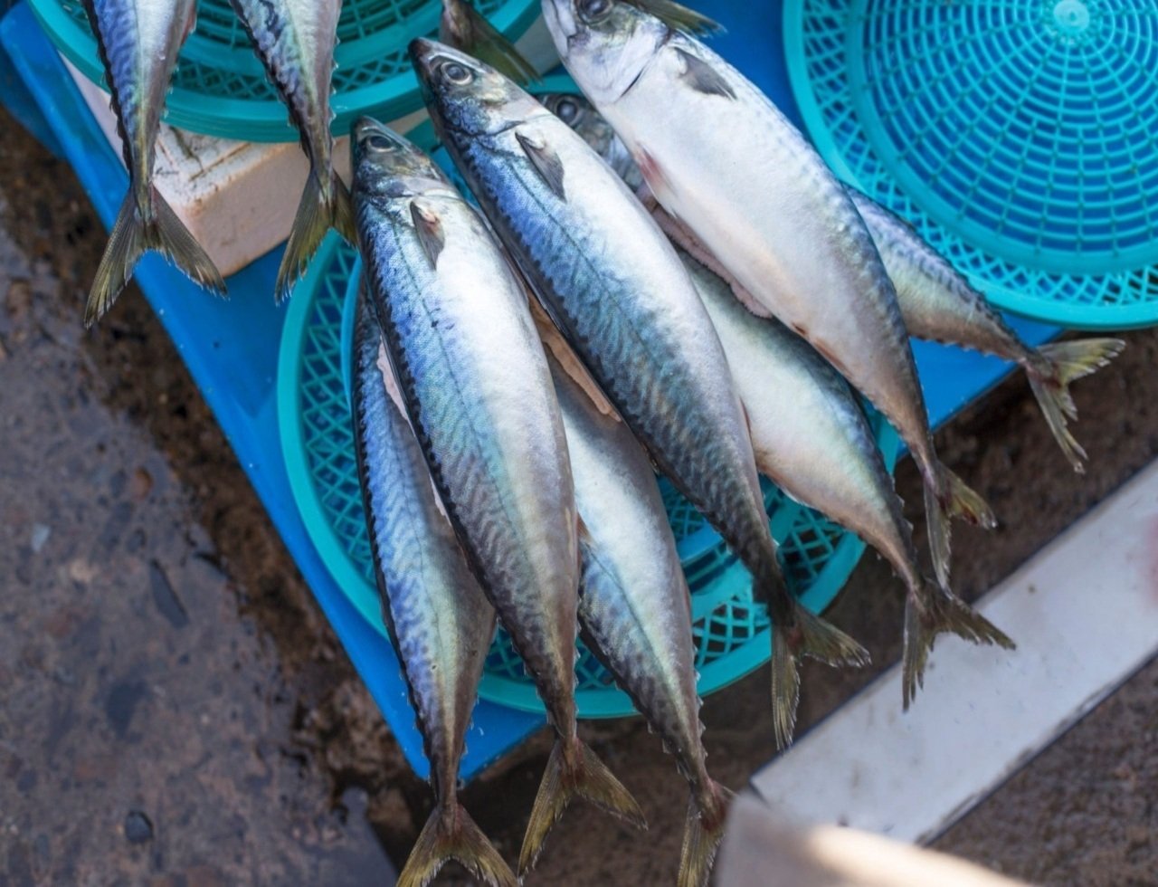 istockphoto-1092484726-2048x2048