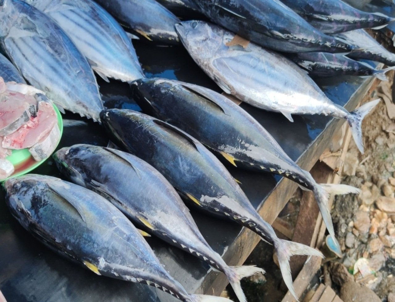 istockphoto-1340191740-2048x2048