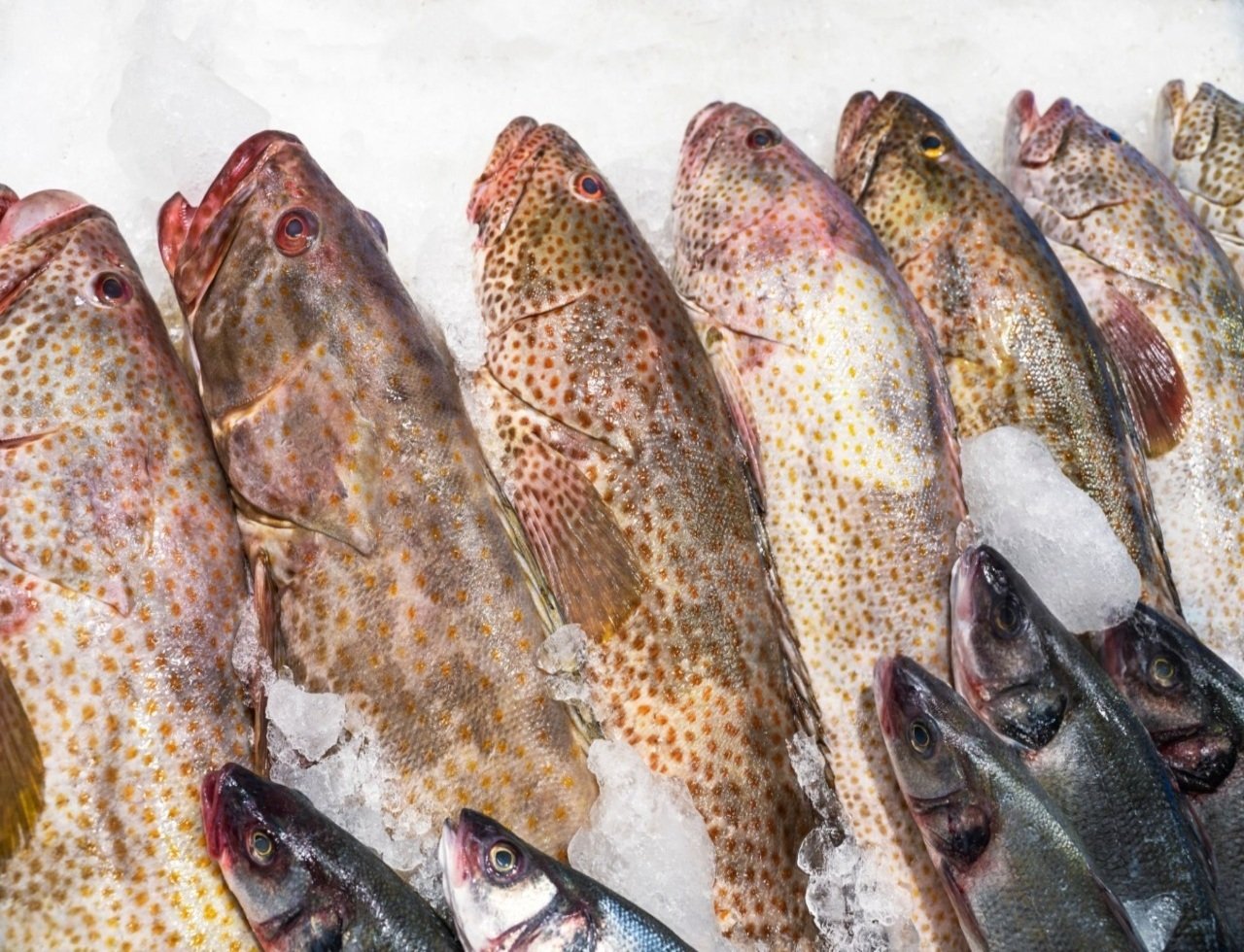 istockphoto-1372067041-2048x2048