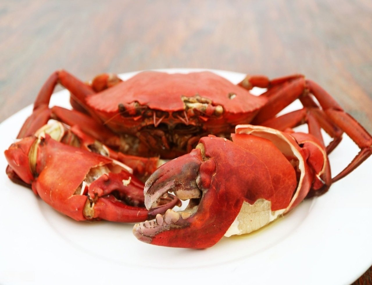 istockphoto-2160977150-2048x2048