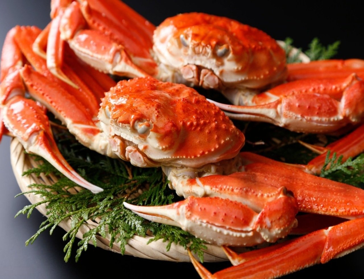 istockphoto-2164170028-2048x2048