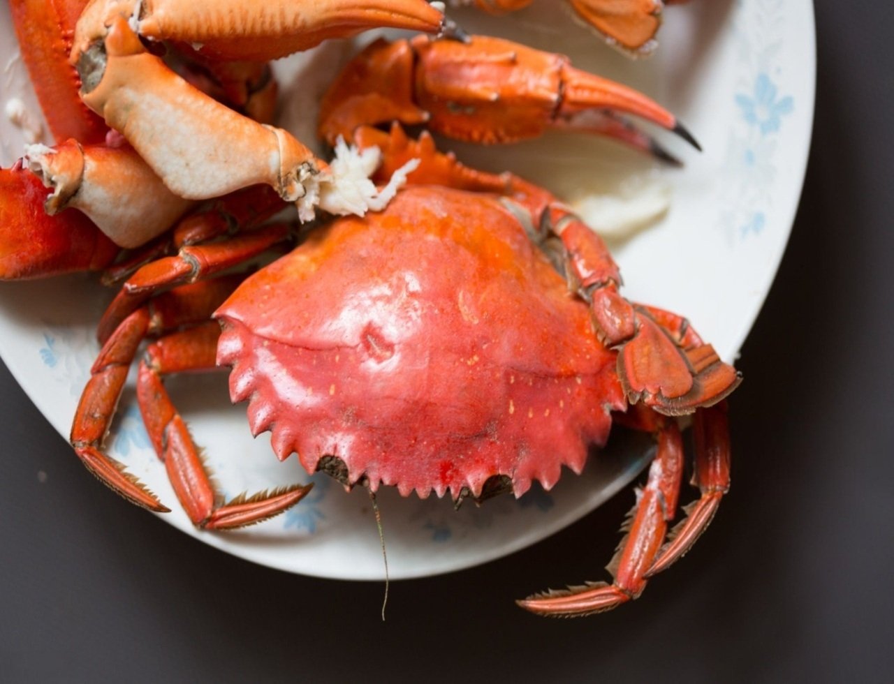 istockphoto-2164170028-2048x2048VVVVVVVVVVVVVVVVVV