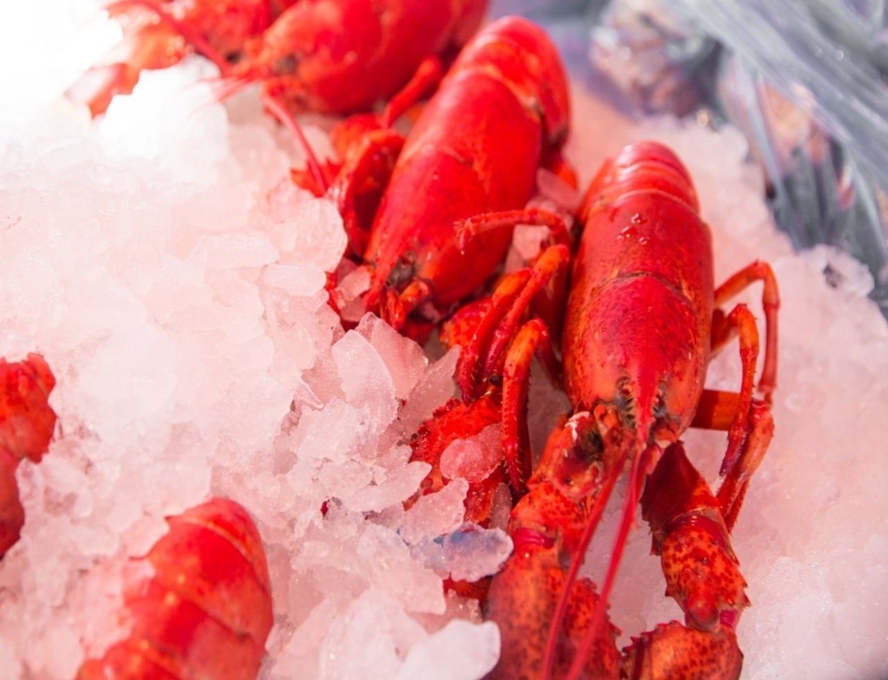 istockphoto-492514280-2048x2048