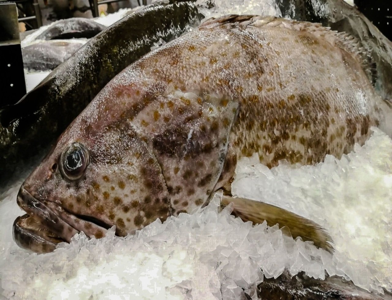 istockphoto-946741274-2048x2048